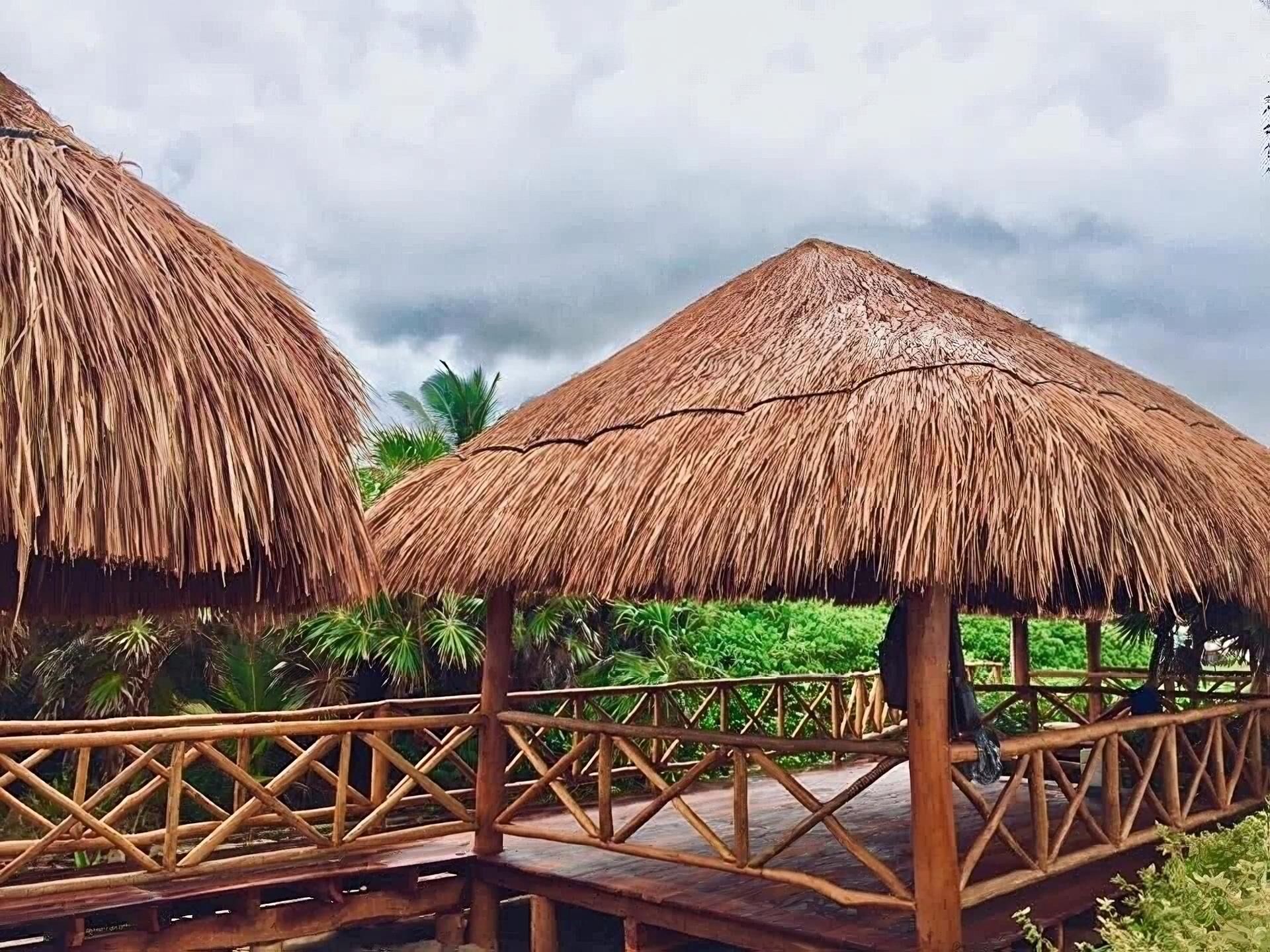 Construcción y mantenimiento de palapas